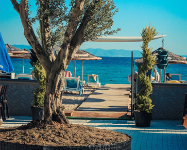 İş Çimen Hotel resim