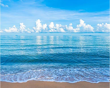 İş Çimen Hotel resim